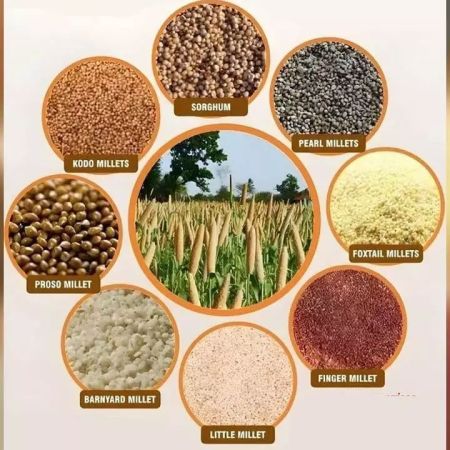 Millets Manufacturers in Qatar
