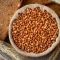 Buckwheat Millet Dried Whole Granules Naturally Rich in Nutrients for Food Processing Distributor, Wholesaler, Manufacturers, Suppliers, Exporters in Navi Mumbai