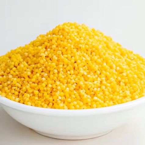 Little Millet Healthy and Nutritious Dried Whole Grain Ideal for Cooking Porridge Distributor, Wholesaler, Manufacturers, Suppliers, Exporters in Togo