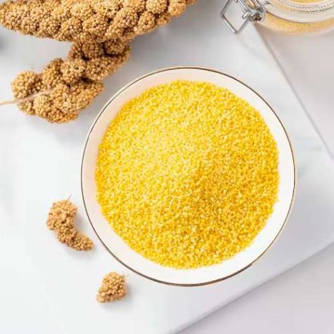 Little Millet Healthy and Nutritious Dried Whole Grain Ideal for Cooking Porridge Distributor, Wholesaler, Manufacturers, Suppliers, Exporters in Navi Mumbai