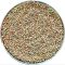 Organic Pearl Millet High Protein Grains for Flour Porridge Snacks and Food Processing Distributor, Wholesaler, Manufacturers, Suppliers, Exporters in Navi Mumbai