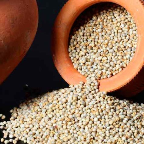 Organic Pearl Millet High Protein Grains for Flour Porridge Snacks and Food Processing Distributor, Wholesaler, Manufacturers, Suppliers, Exporters in Togo