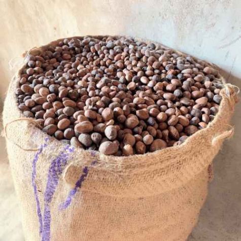 Raw Shea Nut Storage Bag Jute Fabric Open Top with Rope Tie for Shea Butter Distributor, Wholesaler, Manufacturers, Suppliers, Exporters in Navi Mumbai