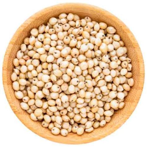 Whole Grain Sorghum Millet in Natural Brown Color for Healthy Diet and Recipes Distributor, Wholesaler, Manufacturers, Suppliers, Exporters in Togo