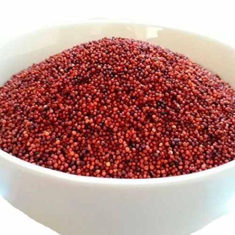 High Purity Dried Finger Millet Seeds for Food Processing and Nutritional Applications Distributor, Wholesaler, Manufacturers, Suppliers, Exporters in Navi Mumbai