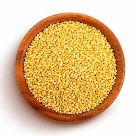 Proso Millet Dried Seeds Low Calorie and High Fiber for Health Benefits and Food Processing Distributor, Wholesaler, Manufacturers, Suppliers, Exporters in Navi Mumbai