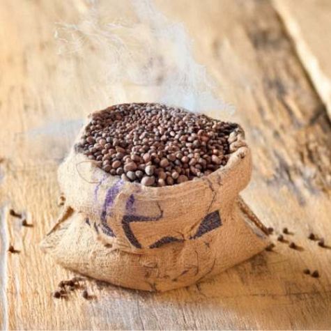 Raw Shea Nut Storage Bag Jute Fabric Open Top with Rope Tie for Shea Butter Distributor, Wholesaler, Manufacturers, Suppliers, Exporters in Navi Mumbai